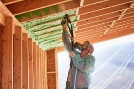 Best Blown-In Insulation  in Lampasas, TX